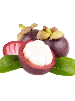 Mangosteen