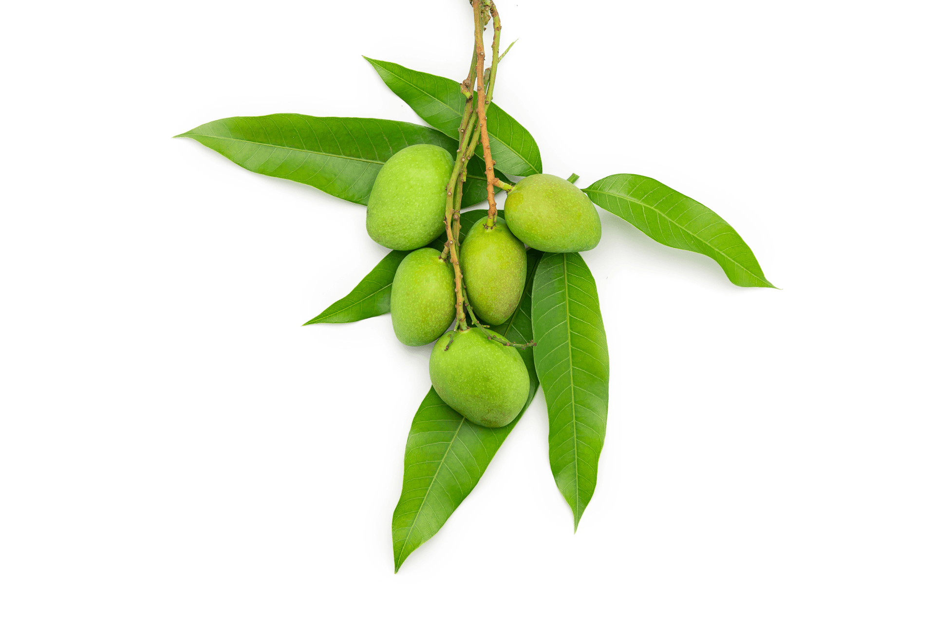 Green Fruit