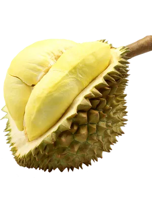 Durian